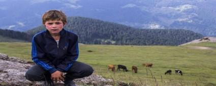 Allar, Eren Blbl\' Unutmad