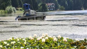 GLCK\'TE STLACI BTKLER TEMZLYOR