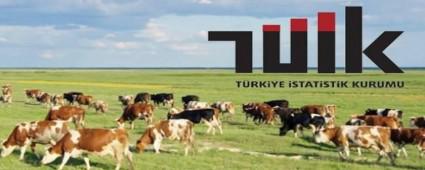 TE BOLU\'DAK BYKBA VE KKBA RAKAMLARI