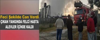 Feci ekilde Can Verdi