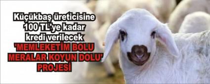 MEMLEKETM BOLU MERALAR KOYUN DOLU\' PROJES