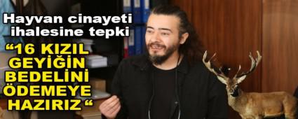 HAYVAN CNAYET HALESNE TEPK