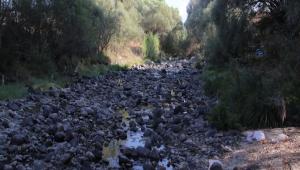 Gerede ay iddialarna cevap