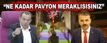 NE KADAR PAVYON MERAKLISISINIZ