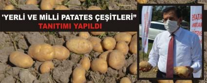 YERL VE MLL PATATES ETLERݔ TANITIMI YAPILDI