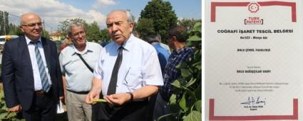 VRL FASULYES, BOLU BAIILAR VAKFI ADINA TESCL EDLD