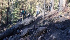 KORKUTAN ORMAN YANGINI SNDRLD 