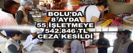 BOLU\'DA 8 AYDA 55 LETMEYE 542.846 TL CEZA KESLD