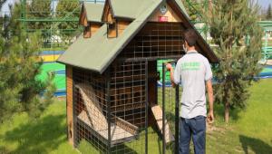    SOKAK HAYVANLARI BOLU BELEDYES\'NE EMANET