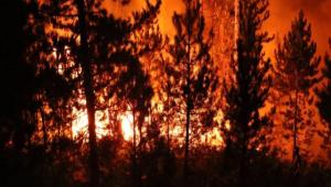 BOLU\'DA 45 ORMAN YANGININDA 180 HEKTAR ALAN ZARAR GRD