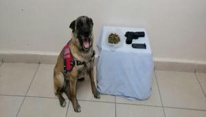 Ruhsatsz tabanca ve uyuturucu maddeler ele geirildi