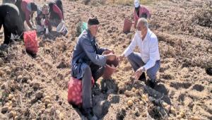 Drtdivan\'a urayp bu lezzeti kefedin