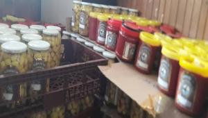 KIBRISCIK RETME DEVAM EDYOR