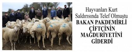 BAKAN PAKDEMRL FTNN MADURYETN GDERD