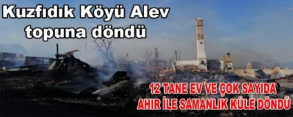 Kuzfdk Ky Alev topuna dnd