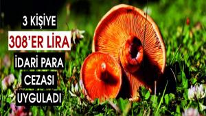 Ormanlk alana izinsiz girmek isteyenlere idari para cezas