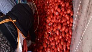 RNEK TARIM PROJESNDE SONA GELND