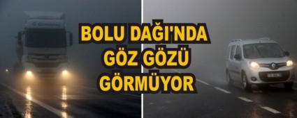BOLU DAI\'NDA GZ GZ GRMYOR