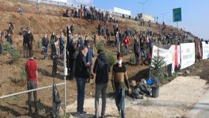 BOLU\'DA 9 BN FDAN TOPRAKLA BULUTURULDU