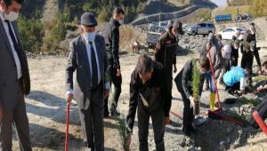 DAHA YAANABLR BR GYNK N 