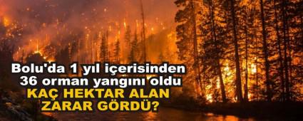 Bolu\'da 1 yl ierisinden 36 orman yangn oldu