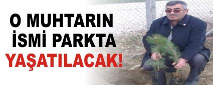 O MUHTARIN SM PARKTA YAATILACAK!