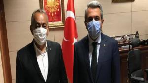 Efe, Drtdivan\'a yatrm hzlandrd