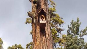 ESENTEPE\'DE KULAR UNUTULMADI