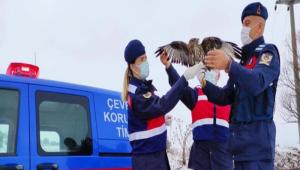 Jandarma\'dan Bitkin Den ahine efkat Eli 