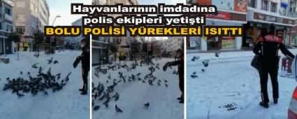 BOLU POLS YREKLER ISITTI