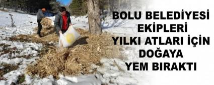 BOLU BELEDYES EKPLER YILKI ATLARI N DOAYA YEM BIRAKTI