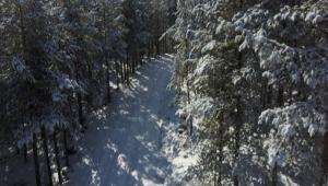 FIRTINANIN ETKL OLDUU ALANLARDA HASAR TESPT YAPILDI