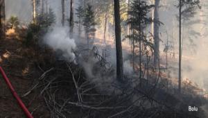 LTFEN DAHA DKKATL OLALIM