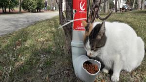    SOKAK HAYVANLARI N SU BORUSUNDAN MAMA APARATI YAPTILAR 