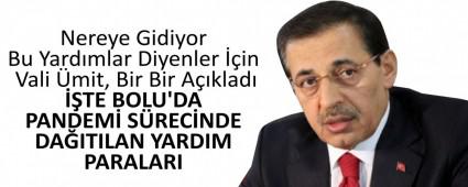 Nereye Gidiyor Bu Yardmlar Diyenler in Vali mit, Bir Bir Aklad