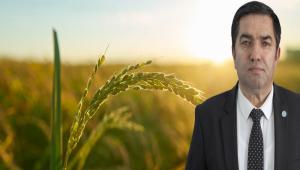 Tarmsal retime Y Parti zm