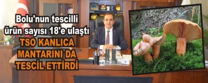 TSO KANLICA MANTARINI DA TESCL ETTRD