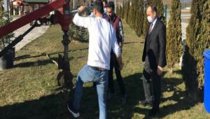 TRAFK PARKI AALANDIRILIYOR