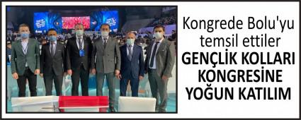 Kongrede Bolu\'yu temsil ettiler