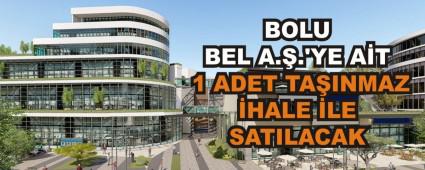 BOLU BEL A..\'YE AT 1 ADET TAINMAZ HALE LE SATILACAK