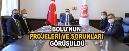 BOLU\'NUN PROJELER VE SORUNLARI GRLD