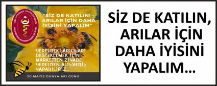 SZ DE KATILIN, ARILAR N DAHA YSN YAPALIM