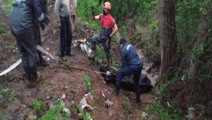 AMURA SAPLANAN NEK KURTARILDI