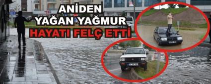 ANDEN YAAN YAMUR HAYATI FEL ETT