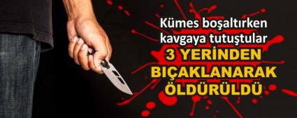 3 YERNDEN BIAKLANARAK LDRLD