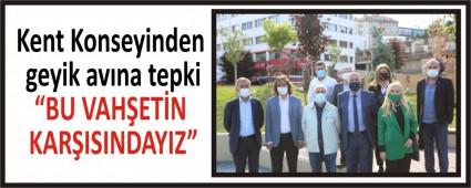 Kent Konseyinden geyik avna tepki