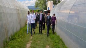 VAL MT\'TEN SERA ZYARET