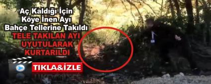 A Kald in Kye nen Ay Bahe Tellerine Takld