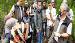 Orman Genel Mdrl Silvikltr Dairesi Bakan Gynk\'te