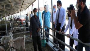 Vali mit ve l Mdrnden Kurban Pazarna Ziyaret